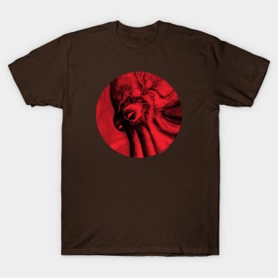 The Collector T-Shirt